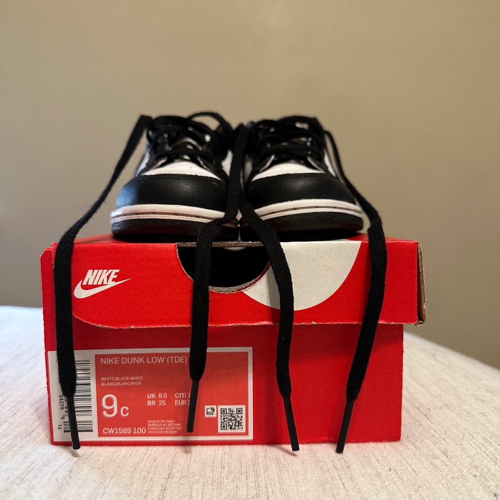 Toddle Nike Dunks (9c)